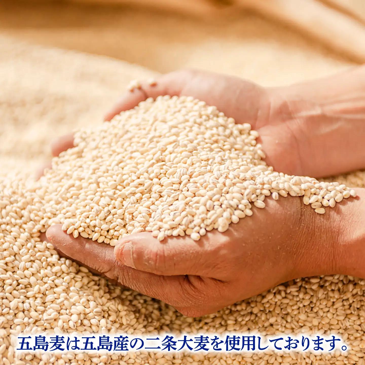 【12回定期便】【麦焼酎】五島麦25度 720ml（化粧箱）五島市/五島列島酒造[PAH026] お酒 焼酎 酒 アルコール セット 