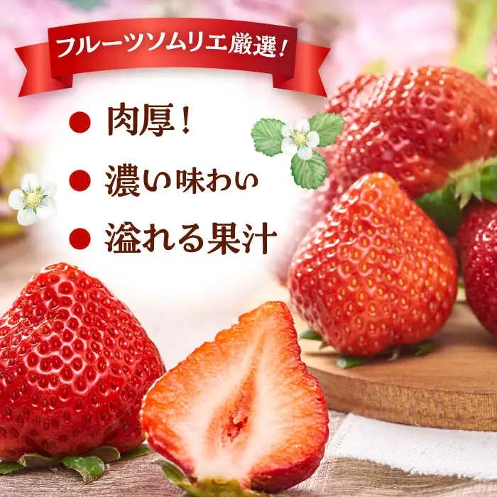 福岡産【春】 あまおう 6パック [ADBW010] あまおう 博多