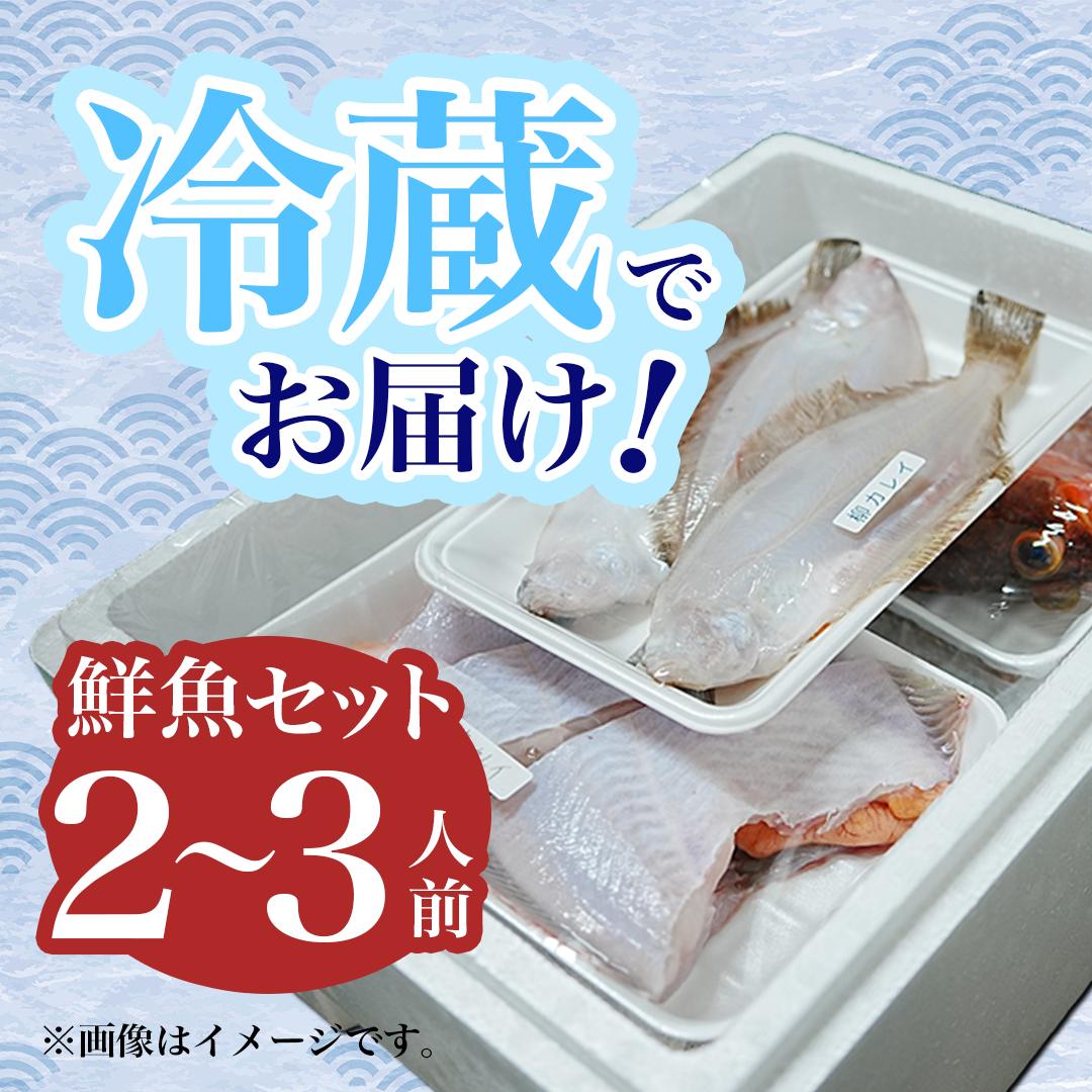 鮮魚 冷蔵 クール便「 開けたらすぐ食べられる下処理済み 海産物 2～3人前 セット 」さとう鮮魚店【 パック 詰め合わせ 海鮮セット 鮮魚ボックス 海鮮 海の幸 魚介 魚介類 刺身 切り身  秋田県
