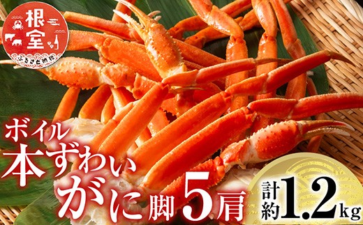 A-11246 ボイル本ずわいがに脚5肩(計約1.2kg)