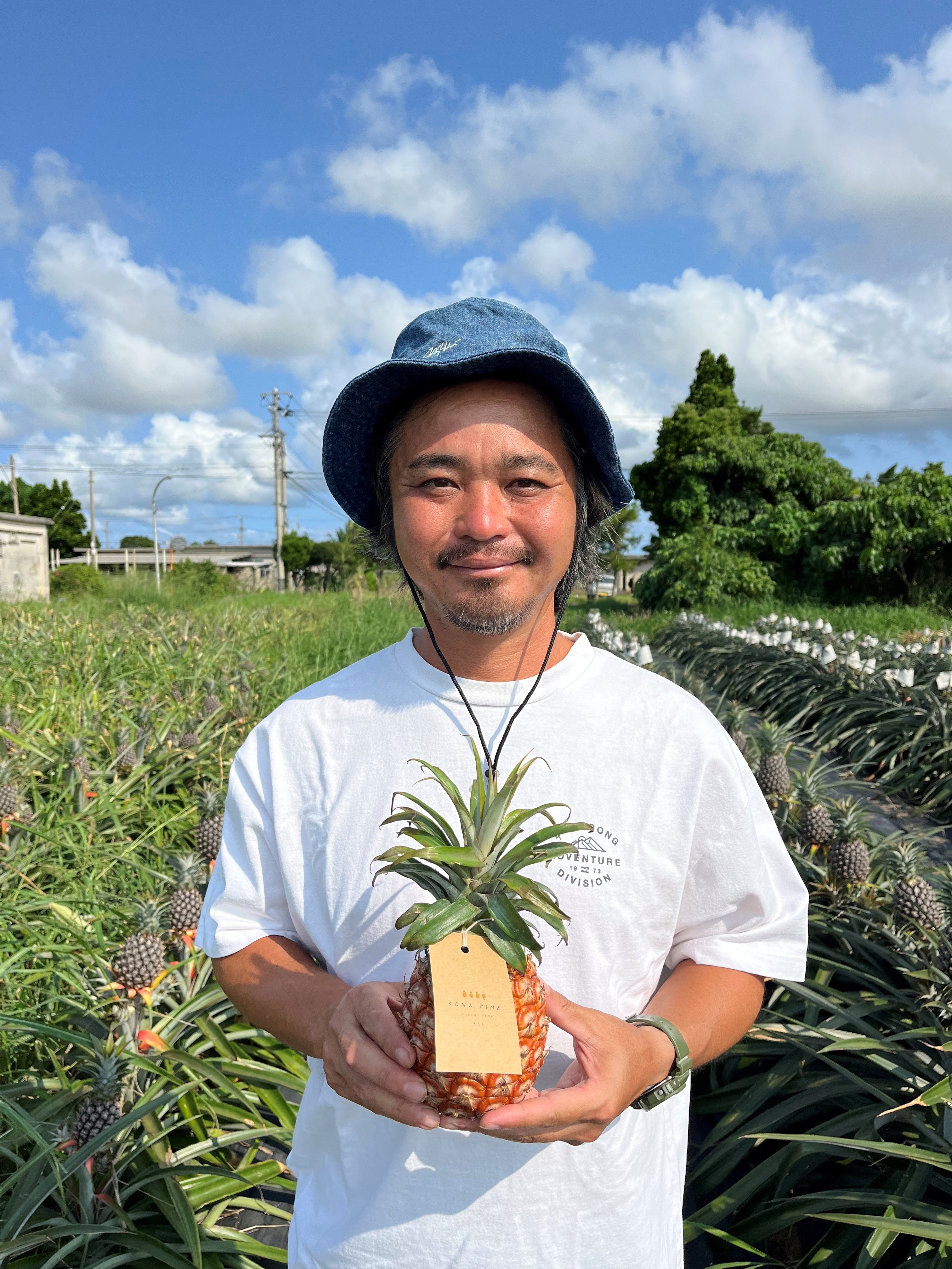 HL001《先行予約2025年発送》宮古島産ピーチパイン２～３玉（２㎏相当）【KONAパイン】