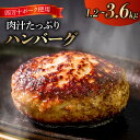 【ふるさと納税】 ハンバーグ 四万十ポーク 入り 1.2kg 2.4kg 3.6kg ( 200g x 6個 ／ 12個 ／18個 ) 選べる 容量 個包装 化学調味料 不使用 保存料 無添加 高知県 須崎市 ブランド豚 合挽き ふるさと納税ハンバーグ 送料無料 贈答 (クラウドファンディング対象)