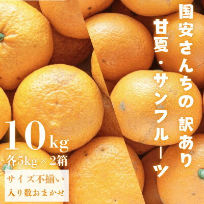 【ふるさと納税】国安さんちの甘夏&サンフルーツ各5kg【訳あり】【C20-19】【1094577】