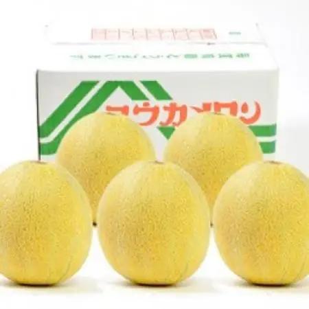 数量限定!こだわり農家さんの希少な優香メロン【4L×2】【配送不可地域：離島・北海道・沖縄県・東北】【1735412】