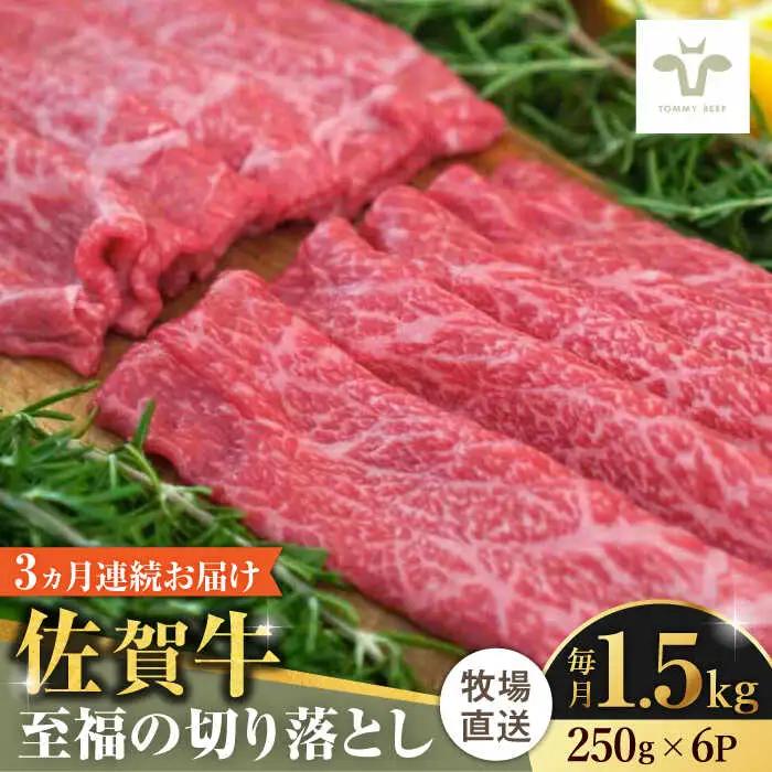 【全3回定期便】佐賀牛至福の切り落とし 計4.5kg（250g×6袋×3回） / 佐賀県 / 有限会社佐賀セントラル牧場 [41ASAA026]