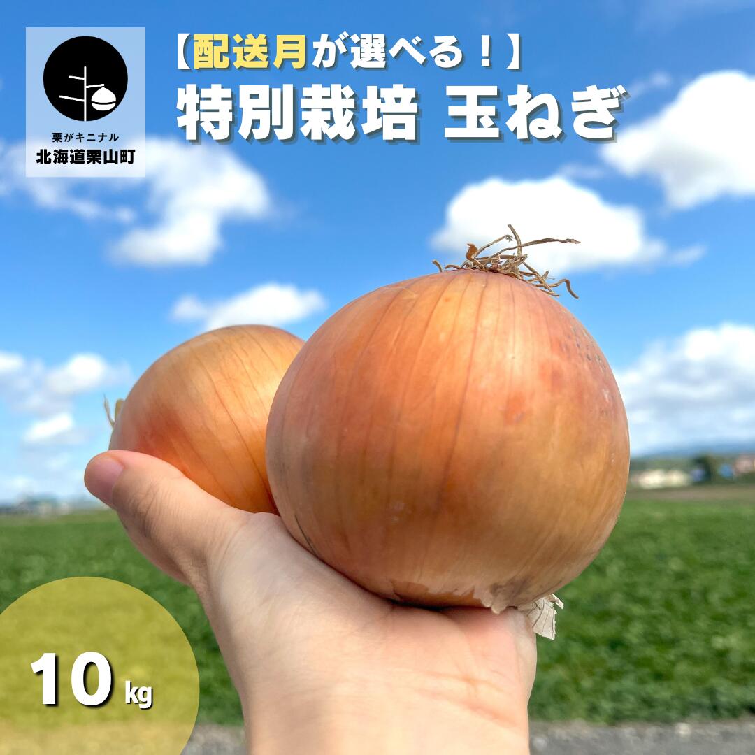 【ふるさと納税】発送月選択可能！北海道産 特別栽培 玉ねぎ10kg 《9月・10月・11月・12月・2026年1月発送》