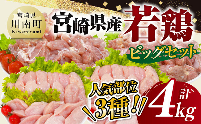 
            【 小分け 】 宮崎県産 若鶏 4kg ビッグ セット 【 もも むね ささみ セット 鶏肉 とり肉 ごはん 料理 大容量 】
          