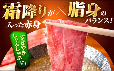 【6回定期便】佐賀県産 しろいし牛 すきやき・しゃぶしゃぶ用 スライス（ロース） 600g 佐賀セントラル牧場 [IAH143]