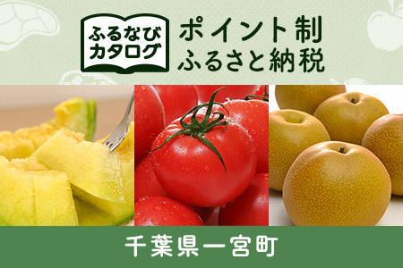 【有効期限なし！後からゆっくり特産品を選べる】千葉県一宮町カタログポイント