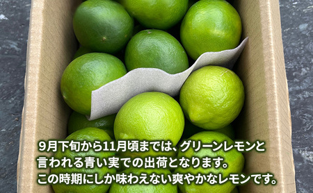 淡路島 マイヤー＆アレン 2kg 詰め合わせ セット レモン 檸檬 れもん グリーンレモン マイヤーレモン フルーツ 季節の果物 季節のフルーツ 旬のフルーツ 旬 洲本市