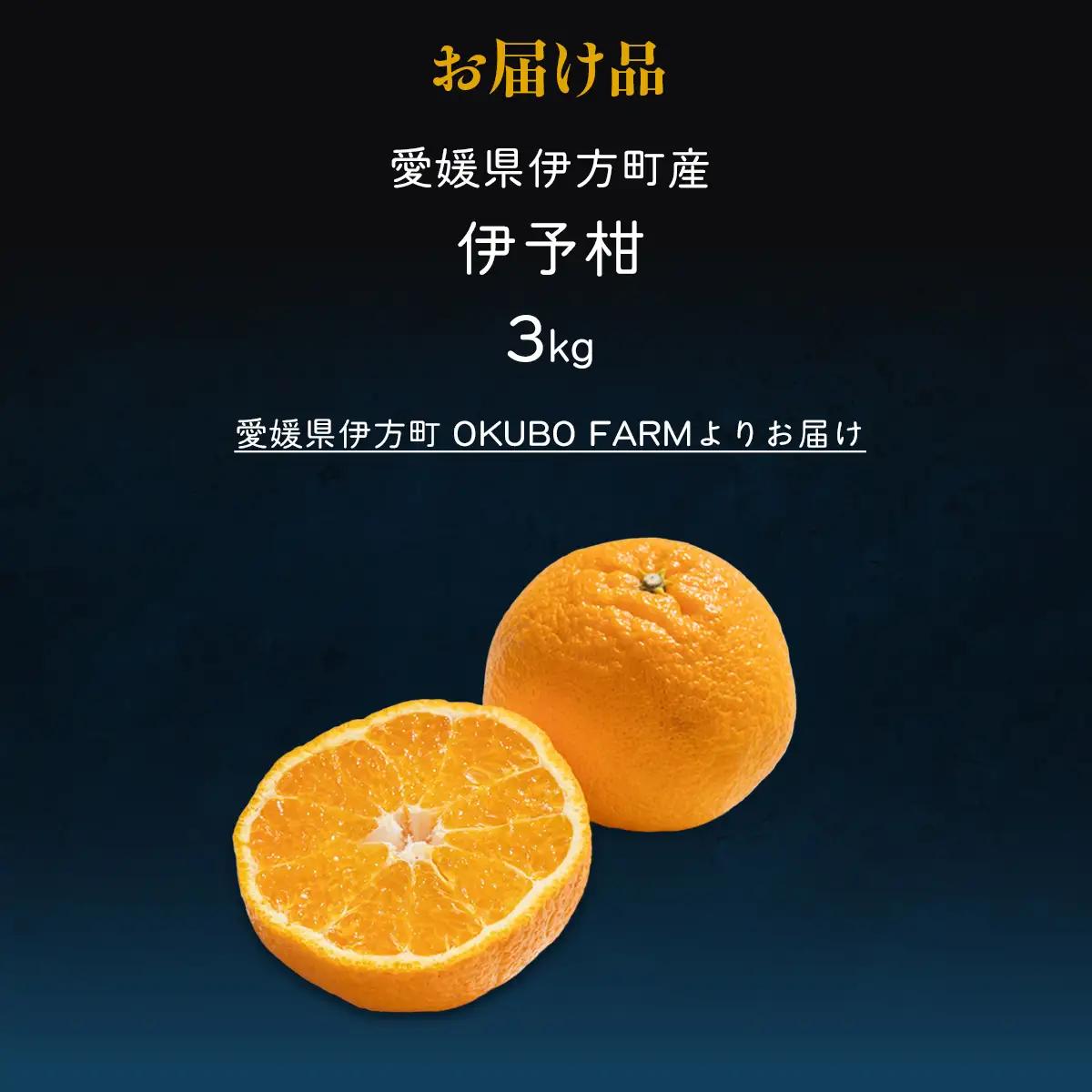 【先行予約】【家庭用】伊予柑 3kg ※北海道・沖縄・離島への配送不可 （2027年1月16日より順次発送予定） 【 柑橘 みかん ミカン 伊予甘 フルーツ 果物 】 IKTAT004 