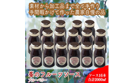 スイスで加工品を学んだ農家が手間暇かけた『手づくりジャムソース【ブルーベリー】』16本セット【 家庭用 自宅用 贈答品 贈答用 ギフト お取り寄せ お中元 お歳暮 贈り物 お祝い 神奈川県 小田原市  ジャム ジャム ジャム ジャム ジャム】