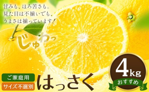 八朔 はっさく ご家庭用 サイズ不選別 4kg《2月上旬-2月下旬頃出荷》八朔 柑橘 果物 フルーツ 訳あり 規格外 傷あり 徳島県 美馬市 送料無料