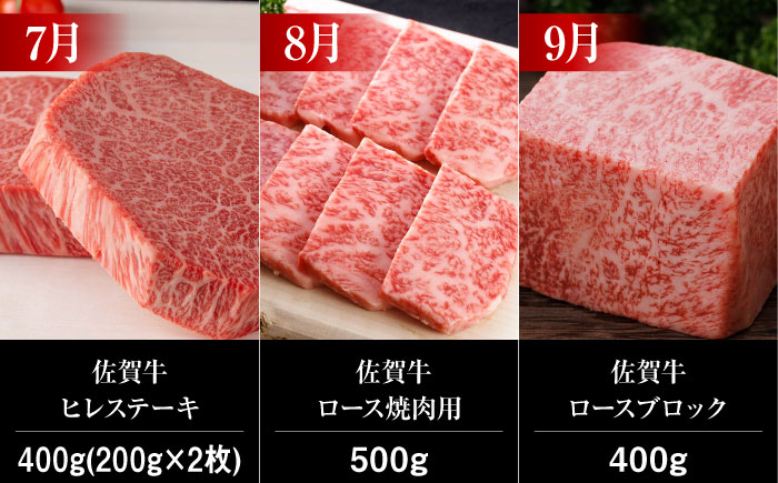 【全12回】 A5ランク 佐賀牛 霜降り 食べ比べ 定期便 約2-3人前 総計5.52kg 30万 /焼肉どすこい [UCC005] 最高級 牛肉 肉 ステーキ スライス ローストビーフ 焼肉