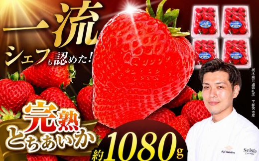 栃木県産 完熟とちあいか 1080g（270g×4p）　栃木県 下野市 栃木県共通返礼品 宇都宮産 送料無料