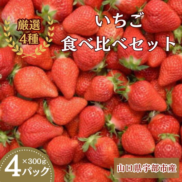 【ふるさと納税】【先行予約】いちご4品種 食べ比べ 300g×4パック 山口県 宇部市 旬 紅ほっぺ あまえくぼ 恋みのり よつぼし すず スターナイト さがほのか チュラルファーム 苺 果物 くだもの フルーツ プレゼント ギフト 贈り物 お祝い お誕生日 御歳暮 父の日 母の日