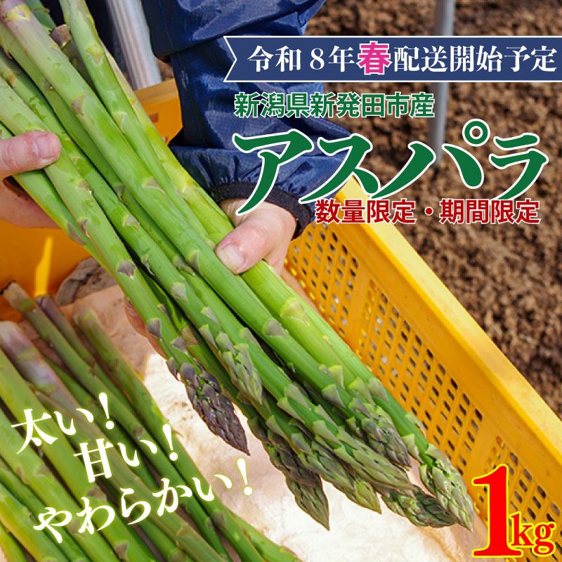 【R8年産先行予約】アスパラガス  1kg  約 40本 野菜 旬 野菜 期間限定 数量限定 甘い 太い 柔らかい 特産品 nozofarm001_01