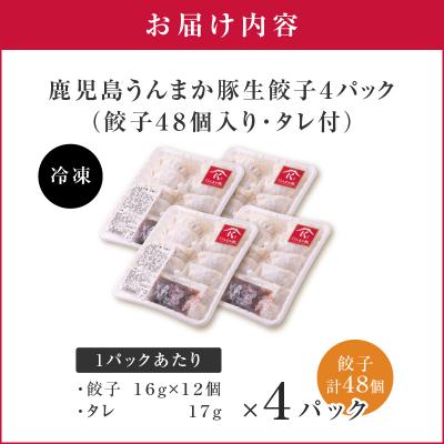 ふるさと納税 鹿児島市 鹿児島うんまか豚生餃子4パック(餃子48個入り・タレ付)　K005-003_01 |  | 03