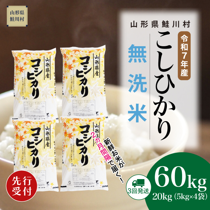 ＜令和7年産米先行受付＞ 鮭川村産 こしひかり 【無洗米】60kg定期便(20kg×3回)　配送時期指定できます！