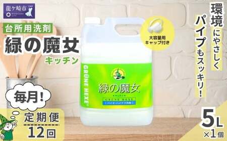 ＜毎月定期便(全12回)＞食器用洗剤 緑の魔女キッチン5L×1本 | 台所洗剤 食器 キッチン