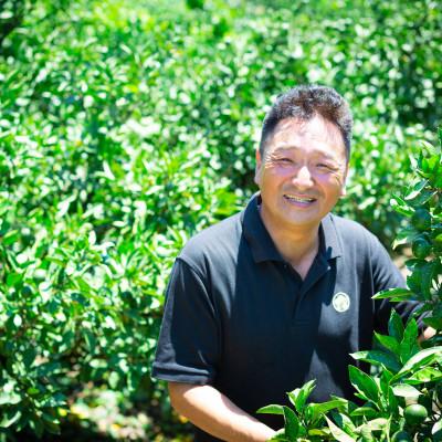 ふるさと納税 八幡浜市 【香り、深まる。】極の完熟レモン　4kg【C64-90】 |  | 02