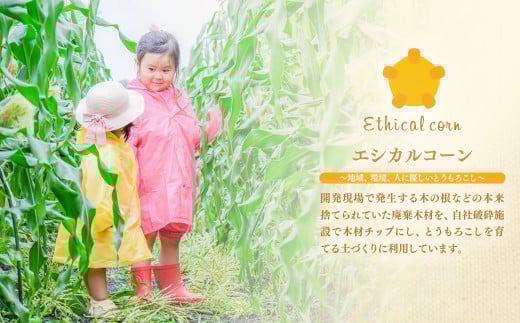 【先行予約】西都市産朝どれ スイートコーン『ゴールドラッシュ約7㎏（18～22本）』2026年発送＜1.2-24＞とうもろこし 野菜 宮崎県西都市