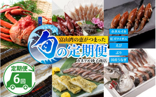 【数量限定】富山湾の恵がつまった カネツル旬の定期便（ホタルイカ、紅ズワイガニ、えび、ぶり、国産うなぎ）【(有)カネツル砂子商店】