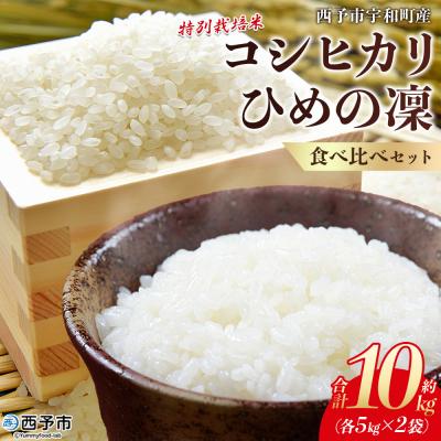 ふるさと納税 西予市 <令和7年産 西予市宇和町産 特別栽培米コシヒカリ・ひめの凜 食べ比べセット各5kg