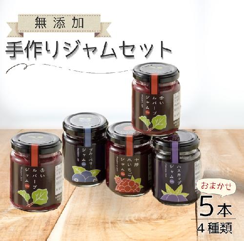 北海道手作りジャム4種セット(140g×5個）無添加 ジャム セット ジャム瓶 ブルーベリー ハスカップ 詰合せ ギフト 無添加ジャム 詰め合わせ 送料無料 ふるさと納税