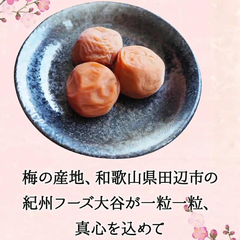 梅干し 750g 紀州南高梅梅白梅干し 塩分15％【kfo015-1】