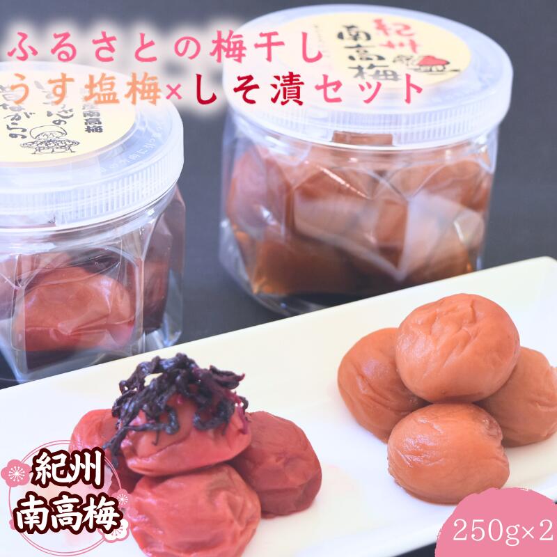 【ふるさと納税】 紀州南高梅 ふるさとの梅干し うす塩梅×しそ漬セット 250g×2 / 和歌山 田辺 紀州 南高梅 お試し 試食 初めて 味見 特選 国産 おにぎり お弁当 二種 500g 免疫 塩分補給