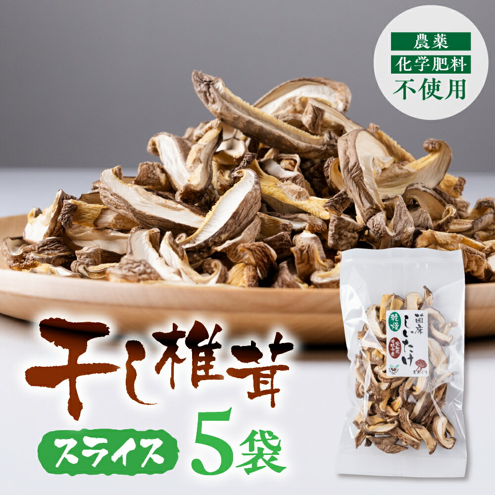 【ふるさと納税】干し椎茸 スライス 小分け 20g×5袋 干しシイタケ 国産 乾燥椎茸 菌床しいたけ 香り豊か 肉厚 旨味 だし用 高級 食物繊維 ギフト 人気 特産品 自宅用 業務用 訳あり 5000円