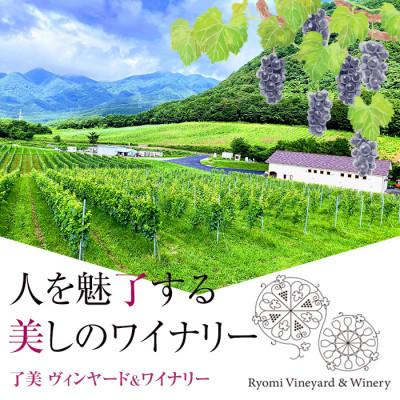ふるさと納税 大和町 ラセリー了 ピノノワール 750ml×1本 |  | 03