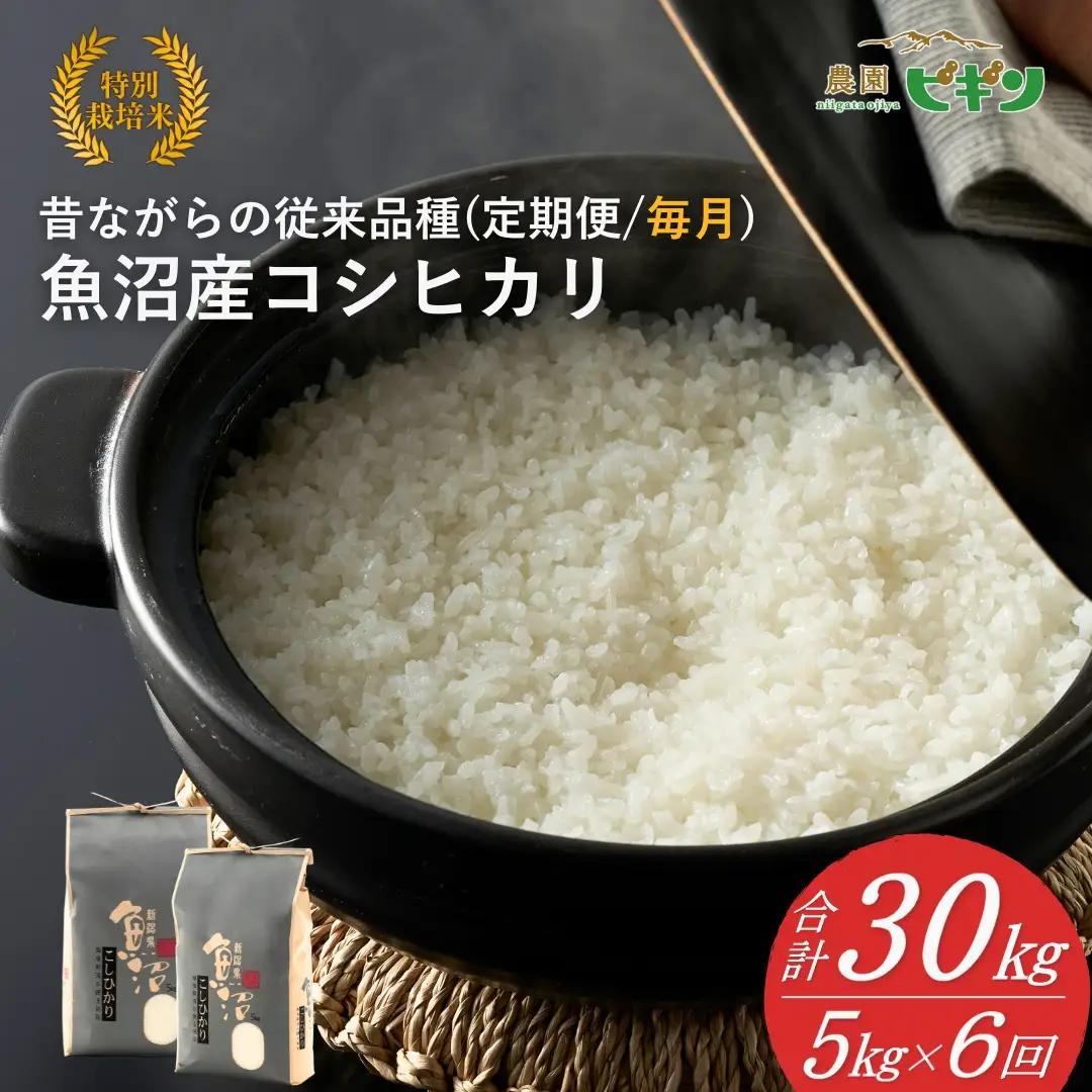 【令和8年産 先行予約】 昔ながらの魚沼産コシヒカリ 従来品種 定期便 30kg（5キロ×毎月全6回）農園ビギン|おこめ 特A評価 小千谷市 コシヒカリ