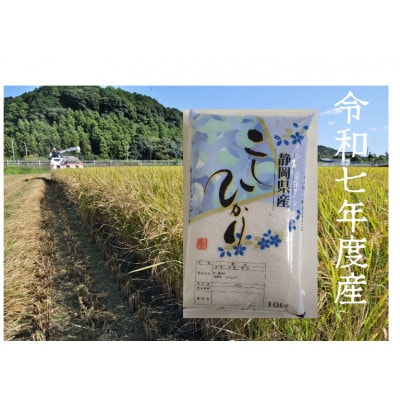 【毎月定期便】静岡こしひかり(精米)10kg×1袋全3回【4076036】