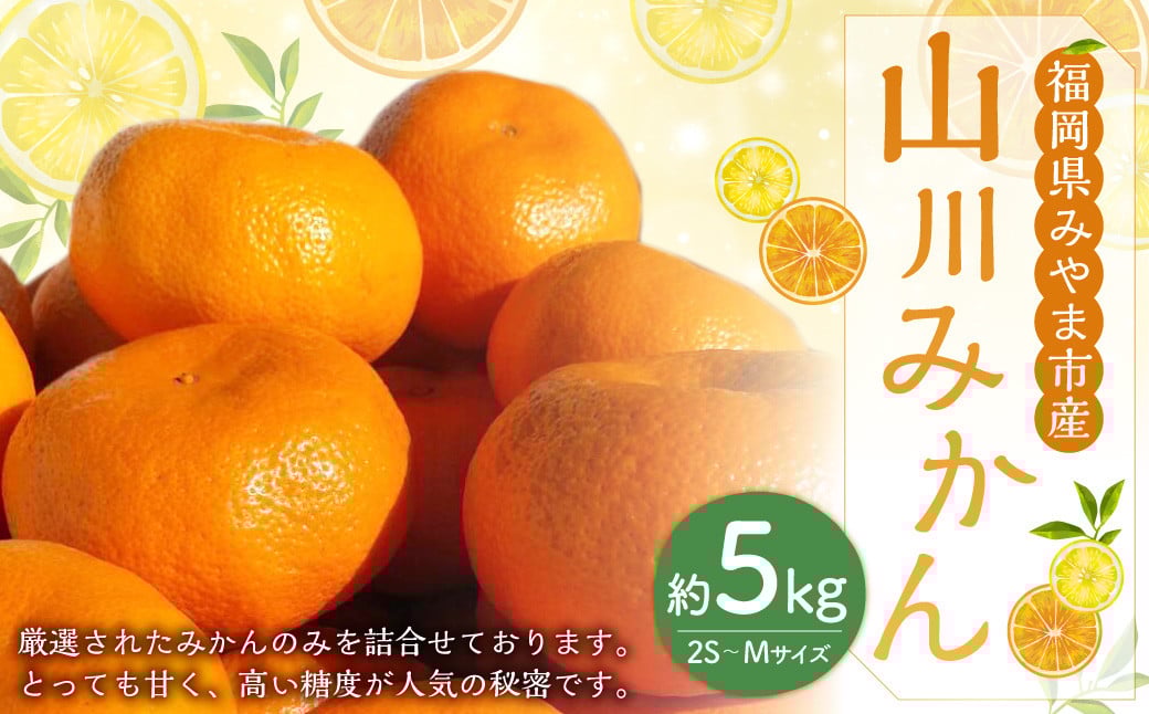 
            A282 山川みかん 5kg（2S～Mサイズ） みかん 山川みかん 果物 フルーツ 柑橘 糖度 甘い  【2025年12月上旬～2026年1月下旬まで順次発送予定】
          