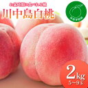 【ふるさと納税】2025年出荷分 先行予約福島県産 川中島白桃 2kg 2025年8月中旬〜2025年8月下旬発送 先行予約 予約 白桃 大玉 伊達の桃 桃 もも モモ 果物 くだもの フルーツ 国産 食品 F20C-831