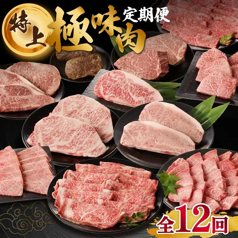 【特上】佐賀牛 定期便（12回）／ 牛肉 定期便 【Z008】