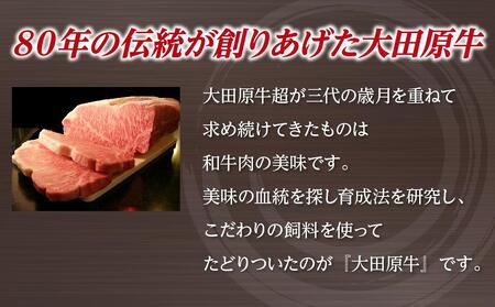 大田原牛 100％ 生ハンバーグ 5パックセット | ブランド 和牛 牛肉 高級 ハンバーグ 自家製 ソース付き