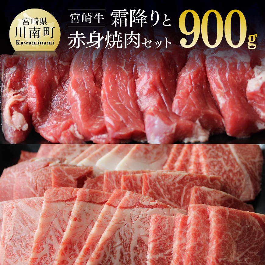 【宮崎牛】霜降りと赤身焼肉セット　牛肉[G7424]