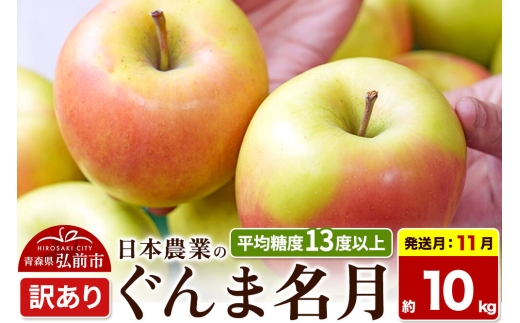 【26年11月発送】りんご ぐんま名月【訳あり】約10kg 平均糖度13度以上 青森県 弘前市 果物 フルーツ 林檎 リンゴ くだもの 不揃い 規格外 先行受付 [先行受付 家庭用 産地直送 アップル 青森県 弘前市]