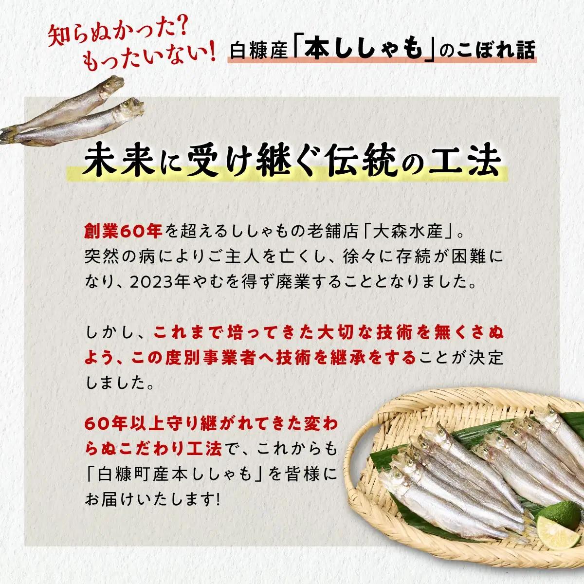 しらぬか産 本ししゃも【オス20尾】_A012-1024