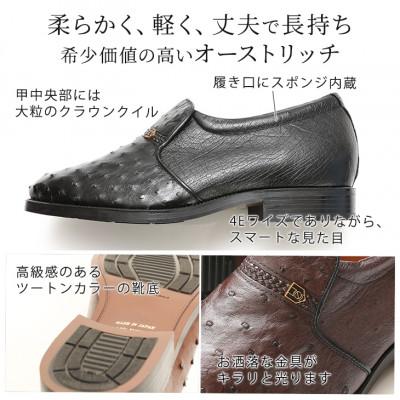ふるさと納税 大和郡山市 オーストリッチ革4E幅広プレーンスリッポン 5cmアップシューズ No.65 ブラウン 26cm |  | 01
