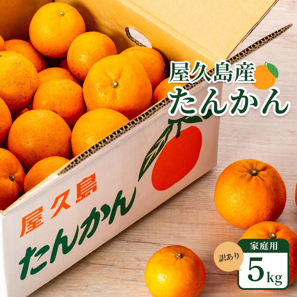 【ふるさと納税】2027年発送 屋久島産たんかん 家庭用 訳あり 約5kg(S～2Lサイズ・少々キズあり)＜先行予約／数量限定＞ | 屋久島町 お取り寄せ タンカン くだもの 果物 フルーツ 柑橘 柑橘類 かんきつ類 柑橘フルーツ 果実 先行受付 数量限定 訳アリ 家庭用