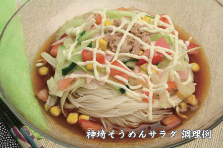 佐賀県特産品 神埼そうめん 17入 つゆ付 【そうめん 神埼そうめん 乾麺 特産品 御中元 夏 自家用】(H014109)