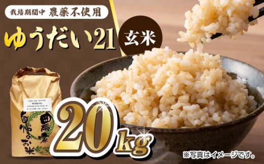 栽培期間中農薬不使用 令和6年産 佐賀県産ゆうだい21 玄米20kg /鶴ノ原北川農園 [UDL026]