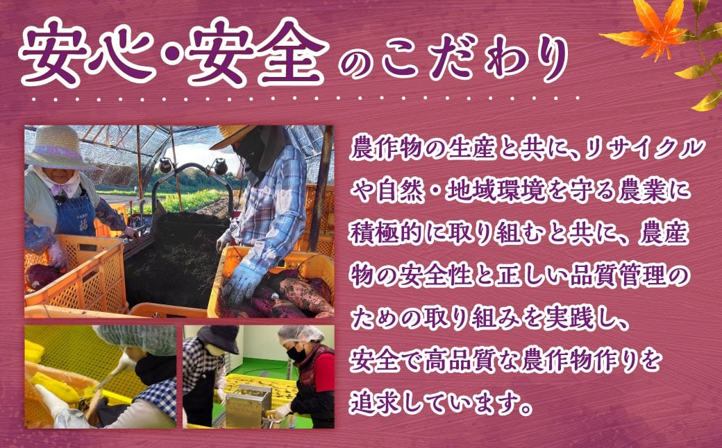 【有機JAS認証済み!】＜宮崎県産 有機ほしいも（紅はるか）200g（100g×2袋）＞翌月末迄に順次出荷 干し芋 ほし芋 干しいも 芋 いも お芋 サツマイモ さつまいも さつま芋 紅はるか お菓子