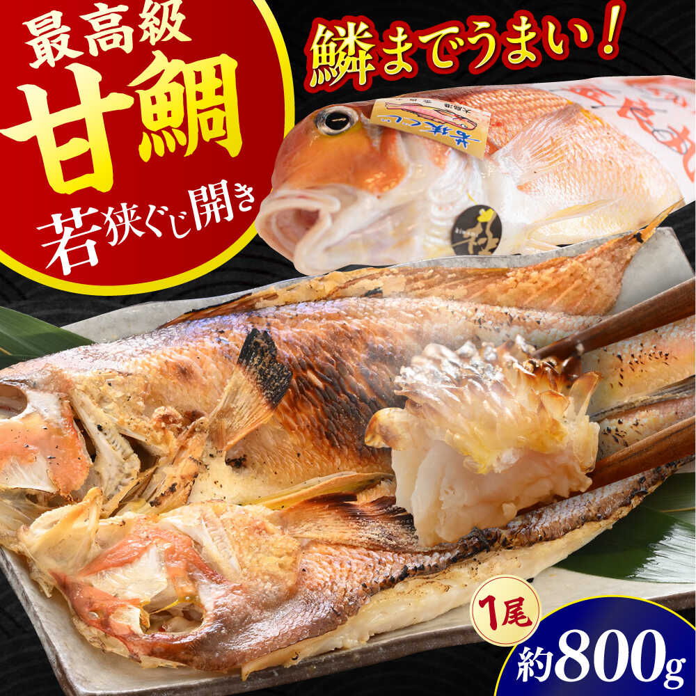 【ふるさと納税】 若狭ぐじ 一汐開き 1尾 800g / 甘鯛 タイ アカアマダイ ぐじ 特大 高級 焼き魚 贈答 ギフト 冷凍 / 小浜市 / 加福鮮魚 【配送不可地域：北海道・沖縄・離島】 [BFBC001]