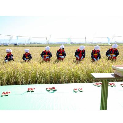 ふるさと納税 能美市 【令和7年産】石川県産ひゃくまん穀白米5kg×1袋 |  | 02