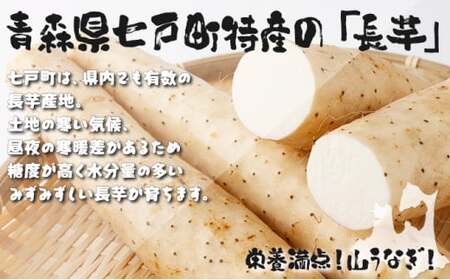 【3か月定期便】ねばりまこと芋(ネバリスター)4kg (真空パック包装) 青森県 七戸町 送料無料 長芋 山芋 イチョウ芋 大和芋 粘り 小分け 個包装 便利 プレーン 無添加 とろろ 栄養 ご飯のお